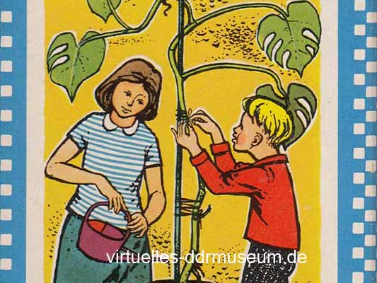 Quartett aus meiner Sammlung