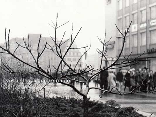 Leipzig 1979, Horst Stahl Leipzig