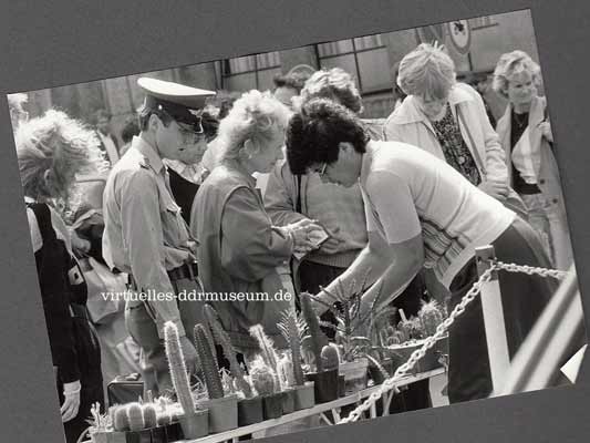 Leipzig 1987, Horst Stahl Leipzig