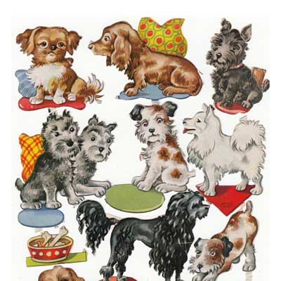 Stammbuchbilder, DDR, Hunde