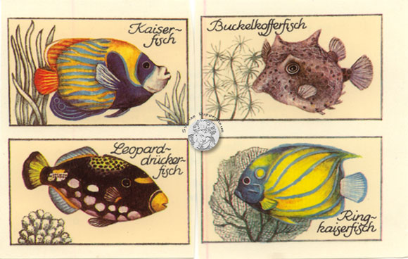 DDR Abziehbilder