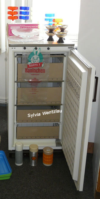 DDR Design