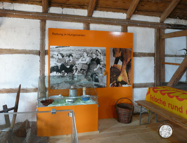 Wohnverhältnisse einer Genossenschaftsbauernfamilie der DDR um 1980