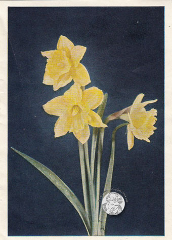 DDR-Kinderpost von Famos