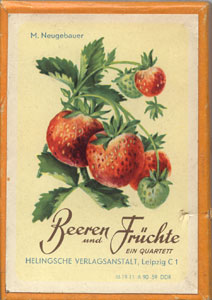 Quartett Beeren und Früchte
