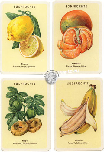 Quartett Beeren und Früchte