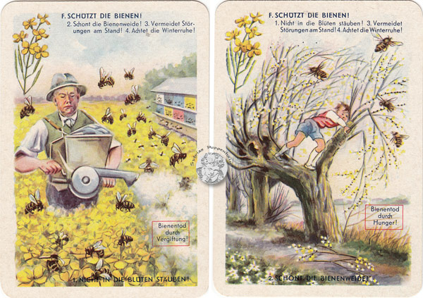 DDR-Quartett Bienenleben-Bienenfleiß