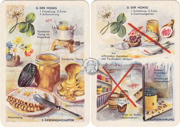 DDR-Quartett Bienenleben-Bienenfleiß