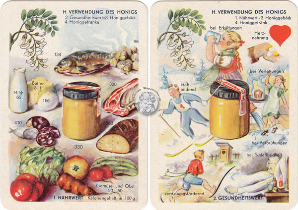 DDR-Quartett Bienenleben-Bienenfleiß