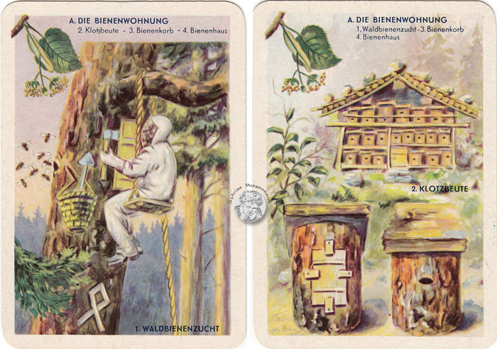 DDR-Quartett Bienenleben-Bienenfleiß