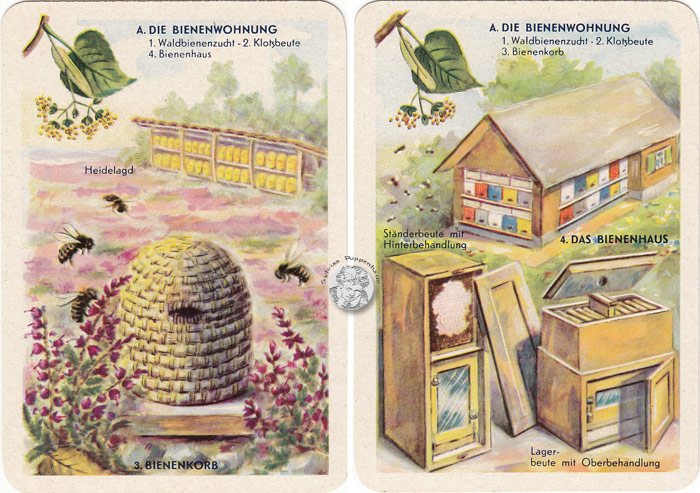 DDR-Quartett Bienenleben-Bienenfleiß