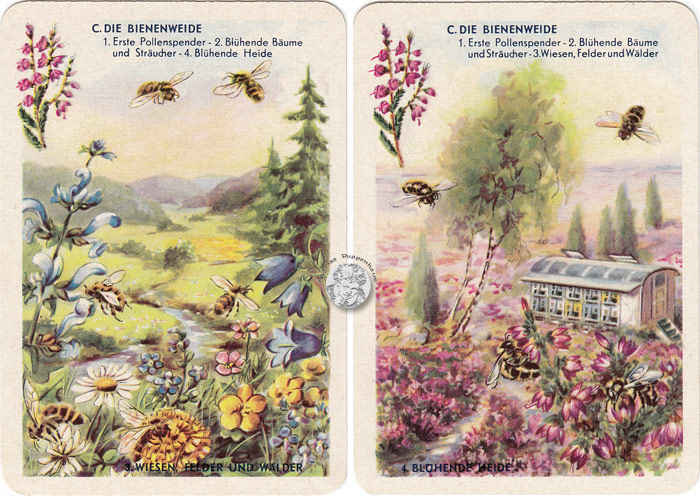 DDR-Quartett Bienenleben-Bienenfleiß