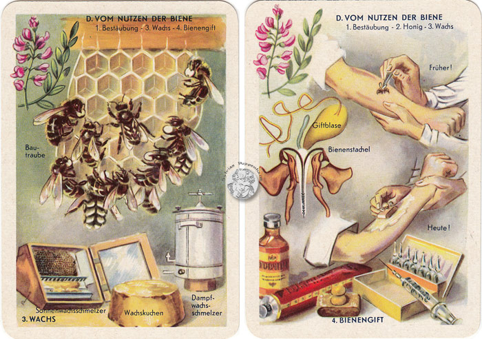 DDR-Quartett Bienenleben-Bienenfleiß