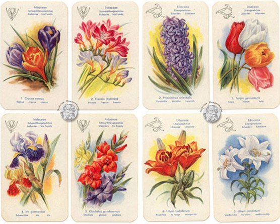 Blumen-Quartett