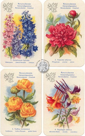 Blumen-Quartett