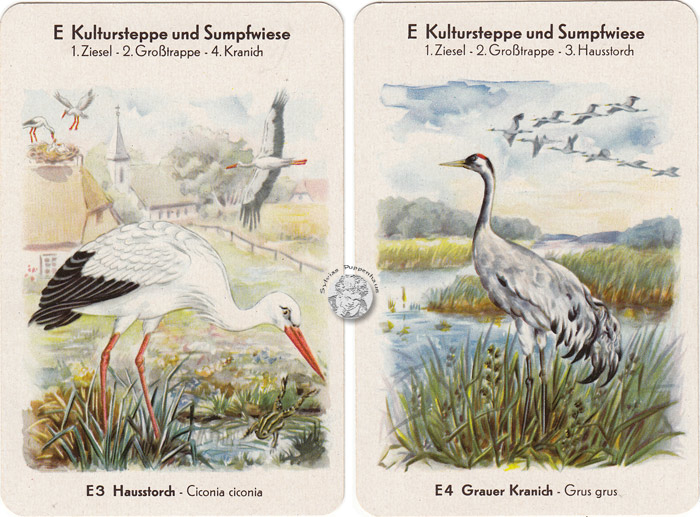 DDR-Quartett Geschützte Tiere