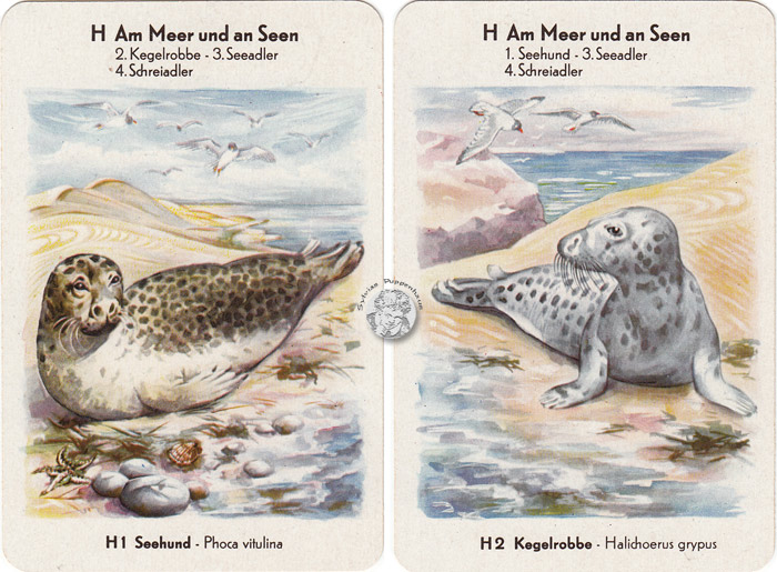 DDR-Quartett Geschützte Tiere