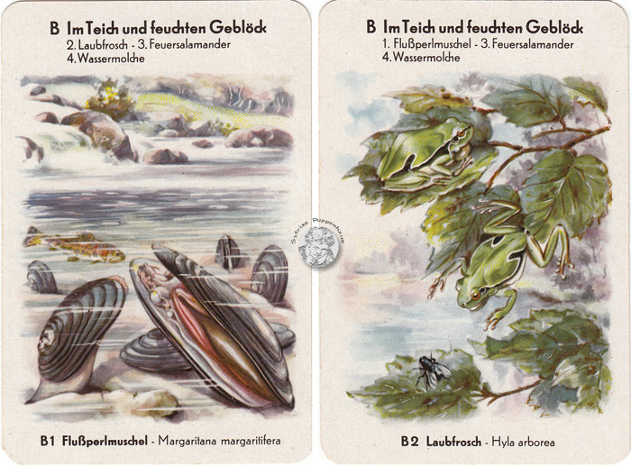 DDR-Quartett Geschützte Tiere