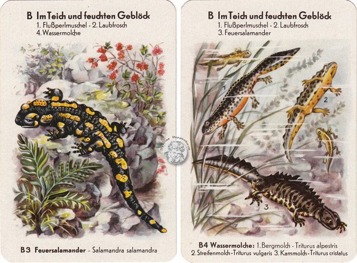 DDR-Quartett Geschützte Tiere