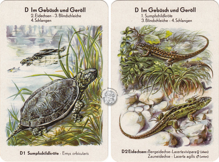 DDR-Quartett Geschützte Tiere