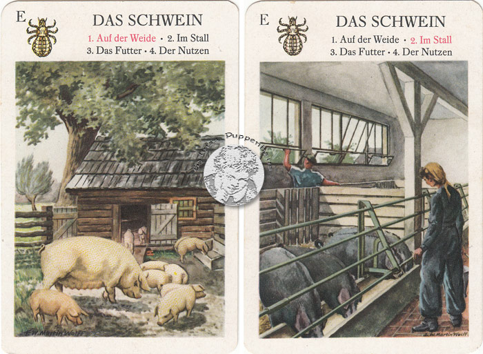 Haustiere - Quartettspiel DDR