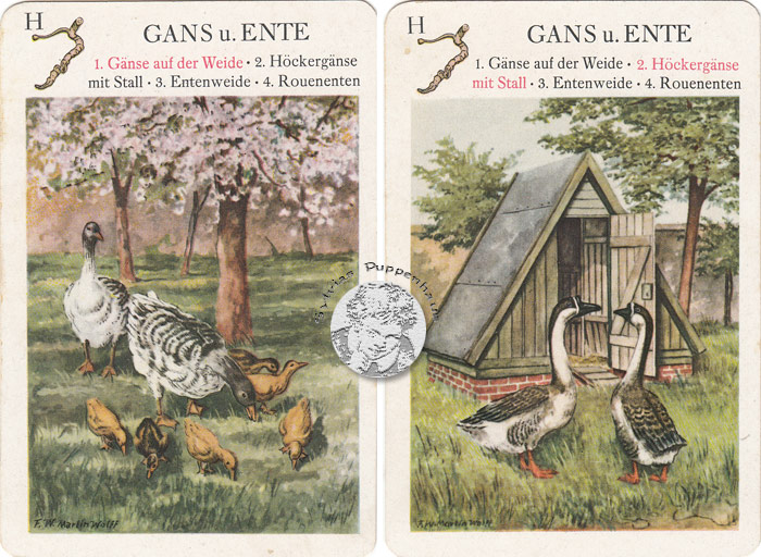 Haustiere - Quartettspiel DDR