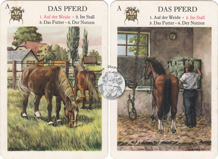 Haustiere - Quartettspiel DDR