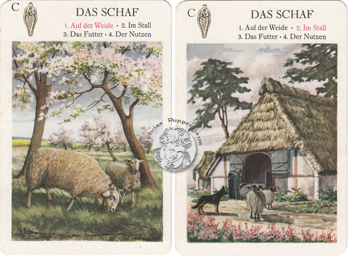 Haustiere - Quartettspiel DDR