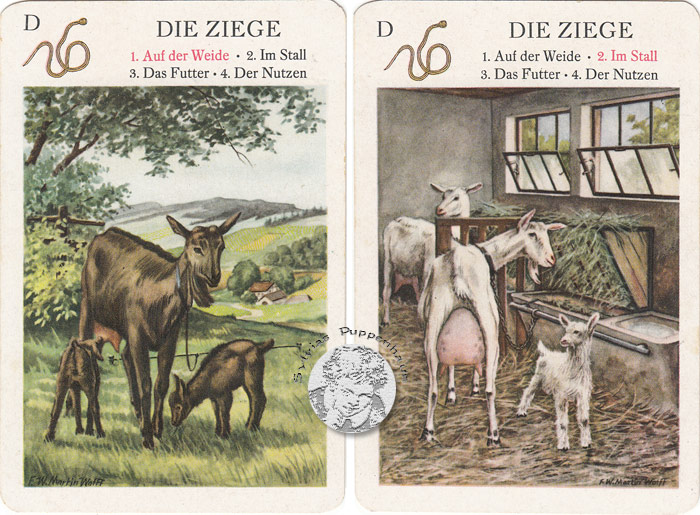 Haustiere - Quartettspiel DDR