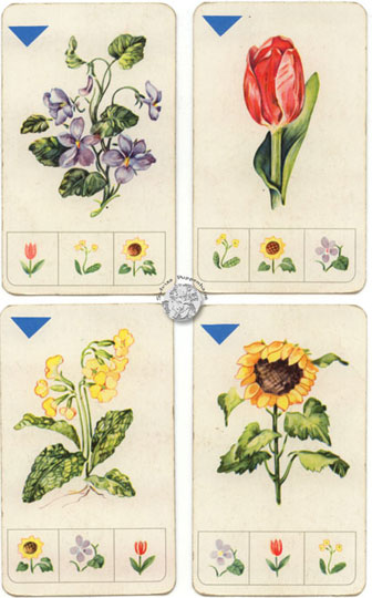 Quartett Haus und Garten