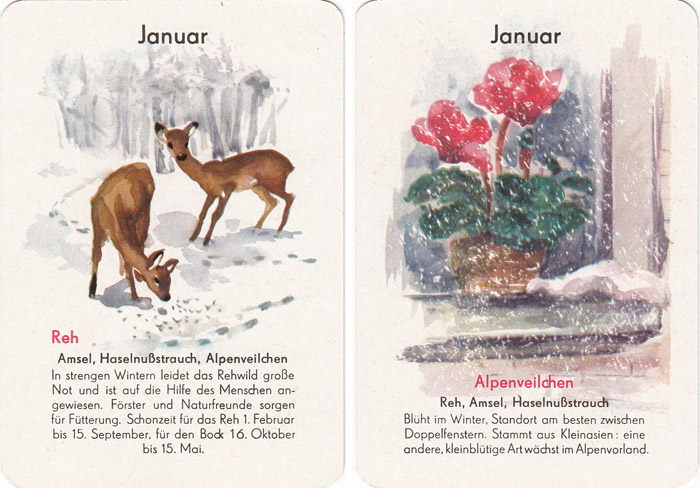 Quartett Natur in 12 Monaten