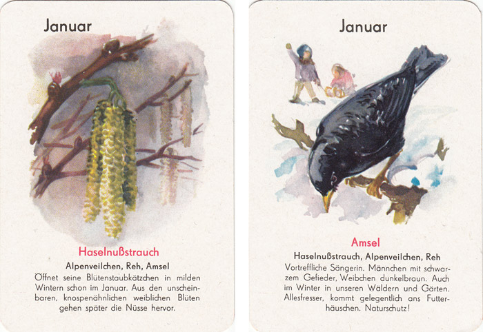 Quartett Natur in 12 Monaten