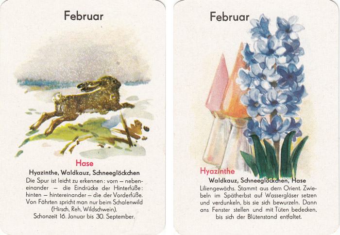 Quartett Natur in 12 Monaten