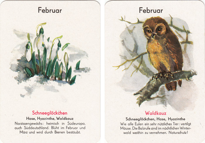 Quartett Natur in 12 Monaten