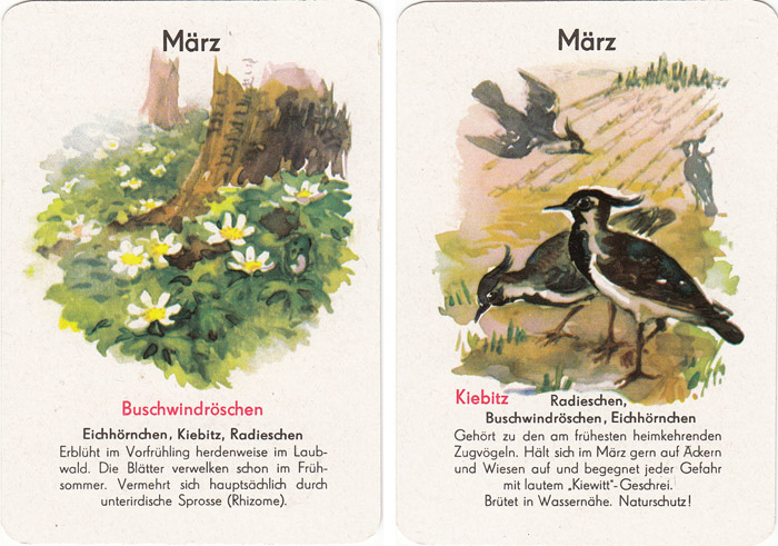 Quartett Natur in 12 Monaten