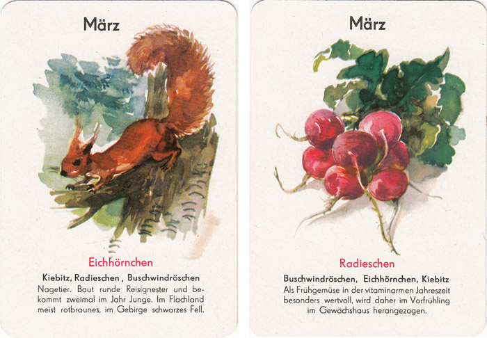 Quartett Natur in 12 Monaten