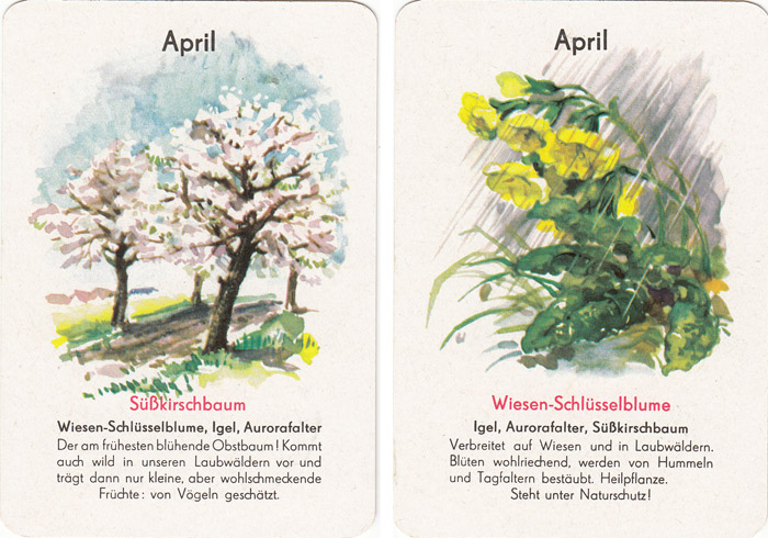 Quartett Natur in 12 Monaten