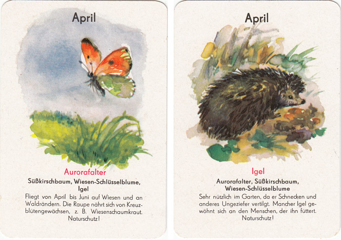 Quartett Natur in 12 Monaten