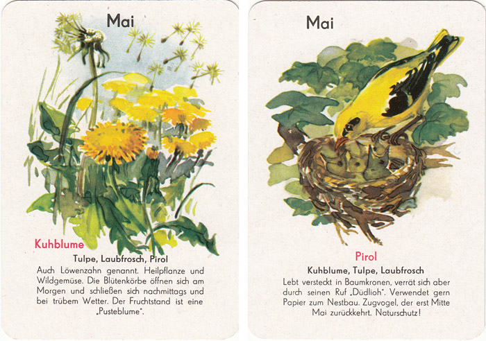 Quartett Natur in 12 Monaten