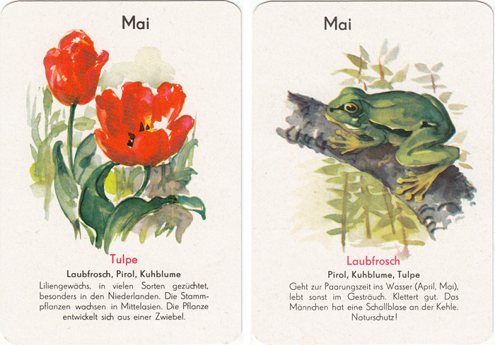 Quartett Natur in 12 Monaten