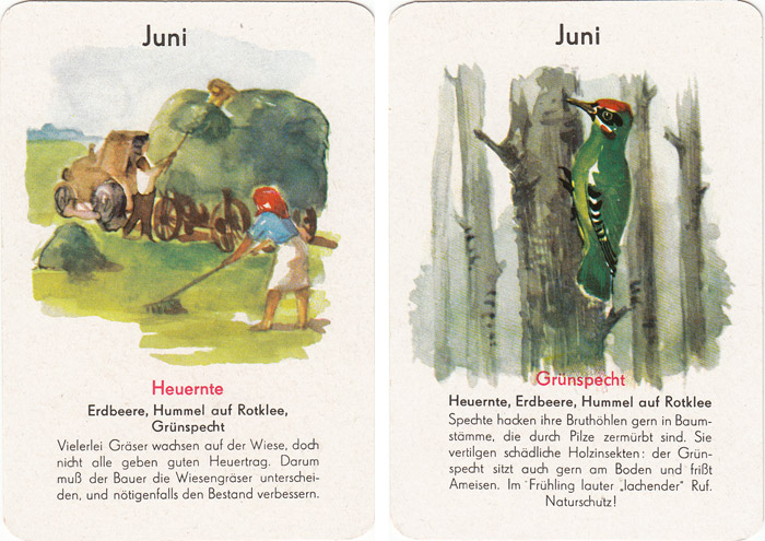 Quartett Natur in 12 Monaten
