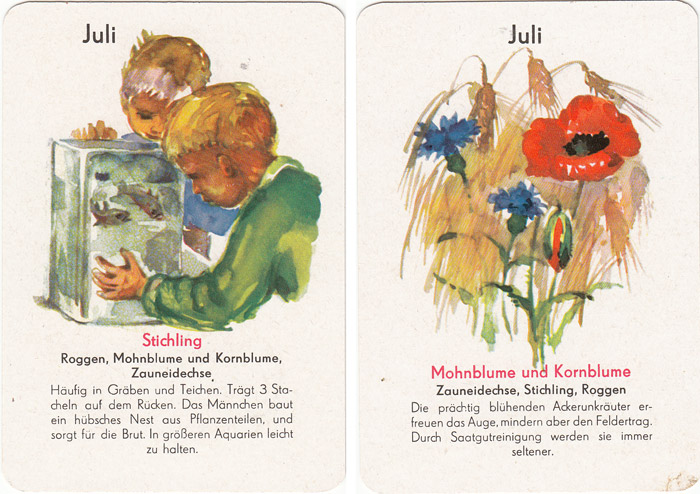 Quartett Natur in 12 Monaten