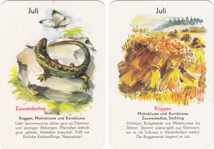 Quartett Natur in 12 Monaten