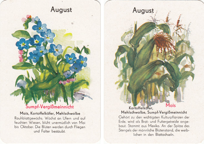 Quartett Natur in 12 Monaten