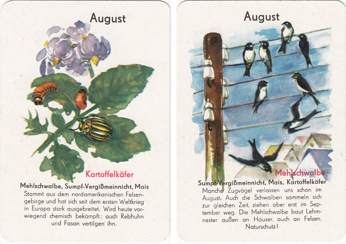 Quartett Natur in 12 Monaten