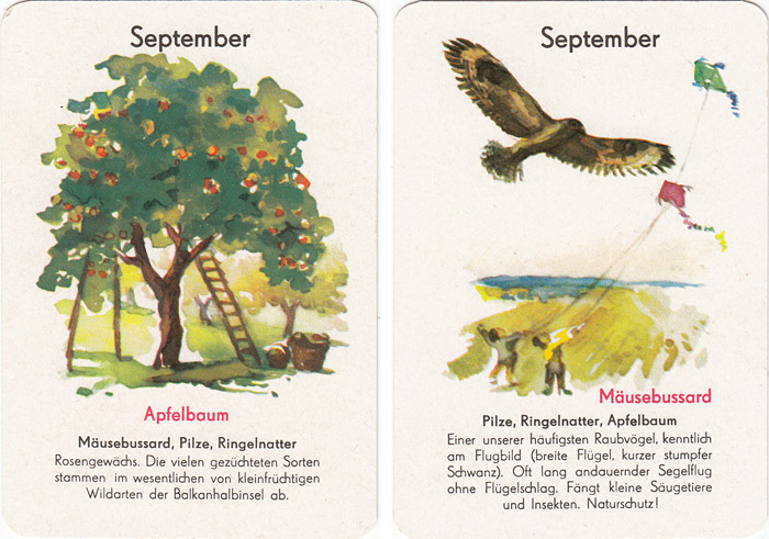 Quartett Natur in 12 Monaten