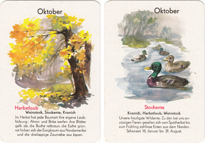 Quartett Natur in 12 Monaten