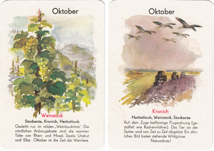 Quartett Natur in 12 Monaten