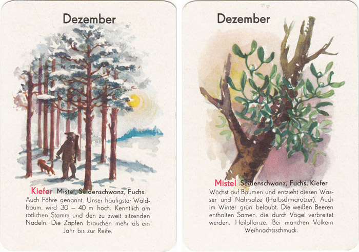 Quartett Natur in 12 Monaten