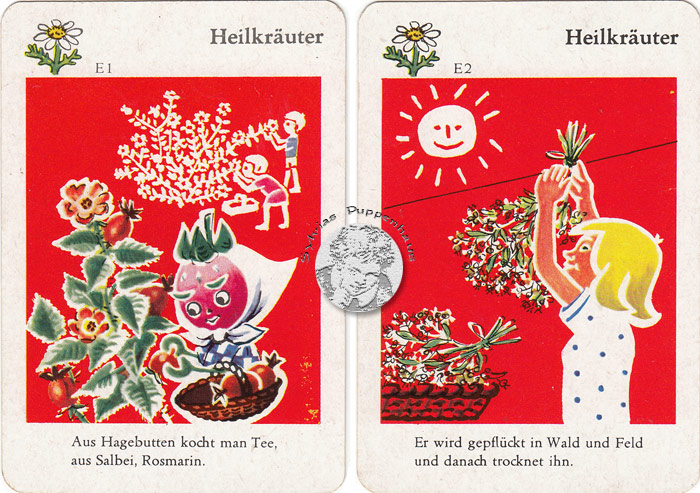 Korbine Früchtchen Quartettspiel DDR